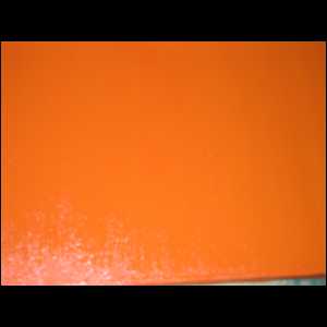 DSCN2273.JPG