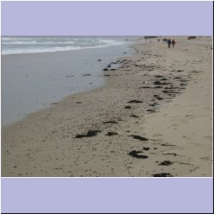 IMG_0892.JPG