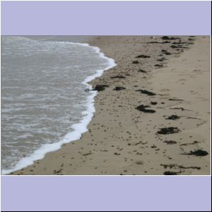 IMG_0893.JPG