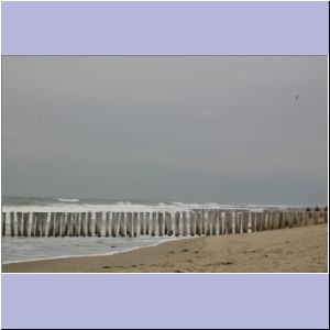 IMG_0930.JPG